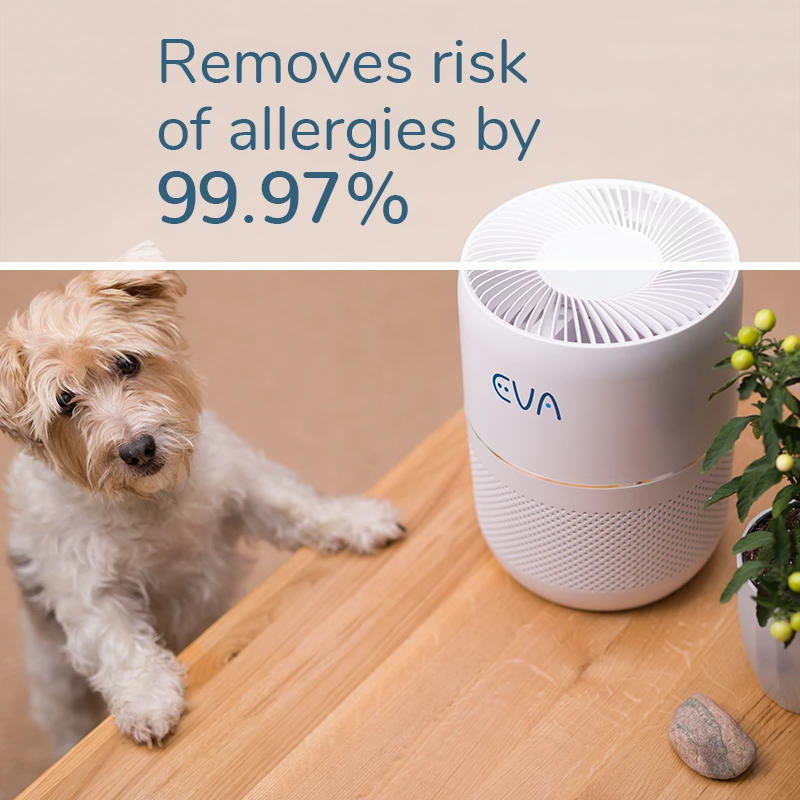 EVA Alto one Air purifier removes risk of allergies