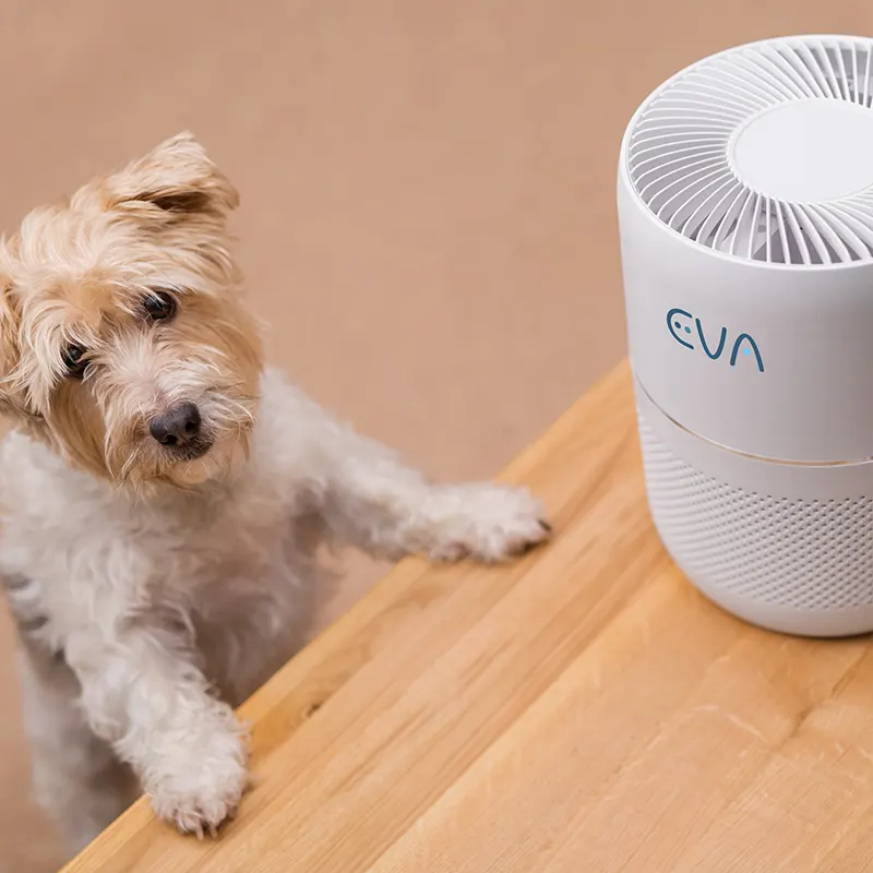 EVA Alto one Air purifier with fluffy dog
